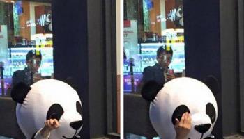 被只熊貓鄙視了，我要不要揍它。