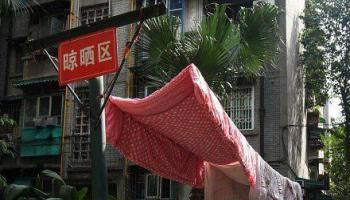 俗話說大樹底下好乘涼，瞧瞧這被褥棉絮底下乘涼如何