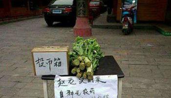 趙大爺太善良，居然相信有人會投幣