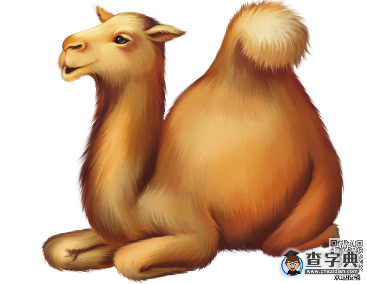 小朋友簡單動物繞口令-駱駝之國