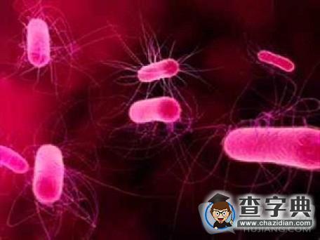 倫敦奧運：游戲比賽規則 (有聲) 《今日聽力精華》2