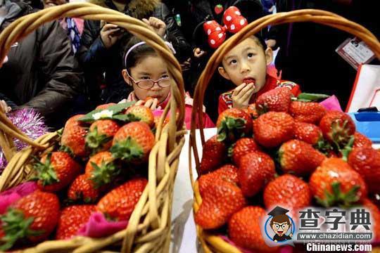 “草莓奧運會”首次亮相中國 (視頻)1