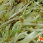 蔥油炒黃豆芽