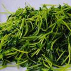 生煸豌豆苗