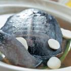 貝母甲魚