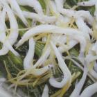 銀魚(yú)芥菜