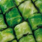 清湯白菜卷