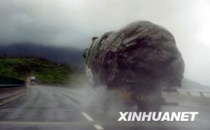 風暴資料圖片