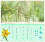 春雨 春雨