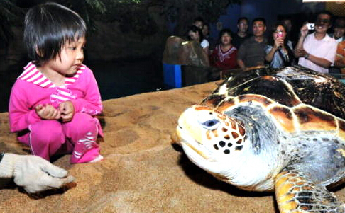 六一青島海底世界兒童游玩攻略