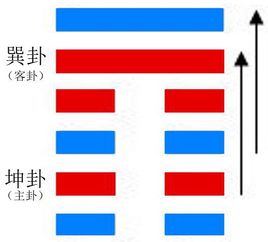 觀卦與風地觀卦詳解1