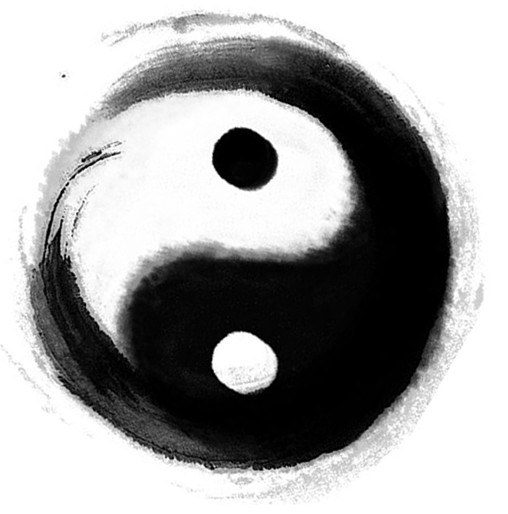 陰陽的概念 什么是陰陽1