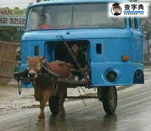 終于有自己的機(jī)動(dòng)車了