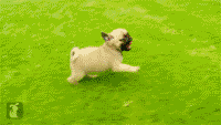 yes，搶鏡成功！