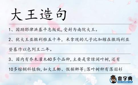 大王造句