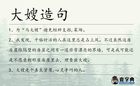 大嫂造句