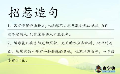 招惹造句
