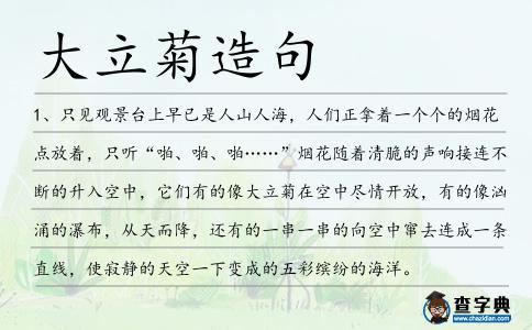 大立菊造句