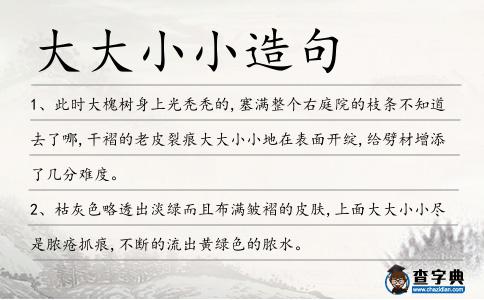 大大小小造句
