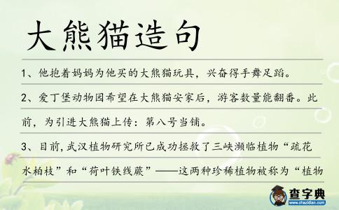 大熊貓造句