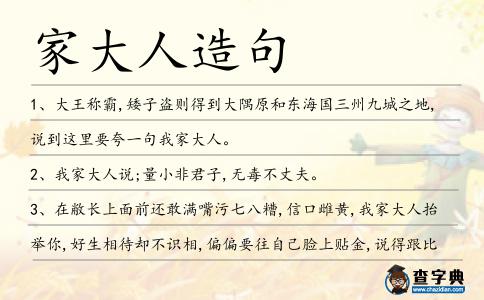 家大人造句