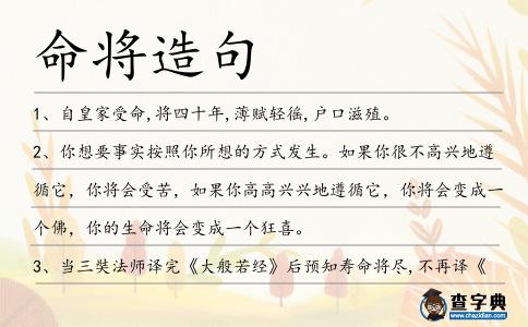 命將造句