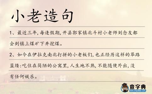 小老造句