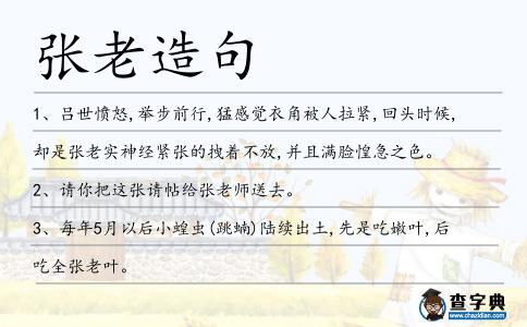 張老造句