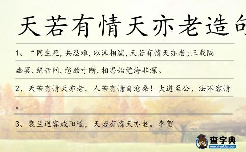 天若有情天亦老造句