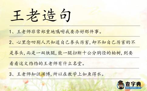 王老造句