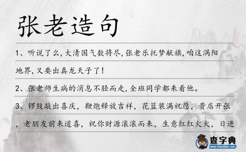 張老造句