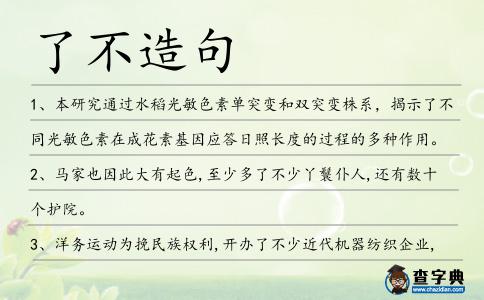 了不造句