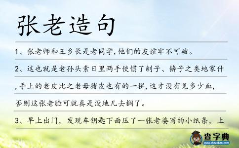 張老造句