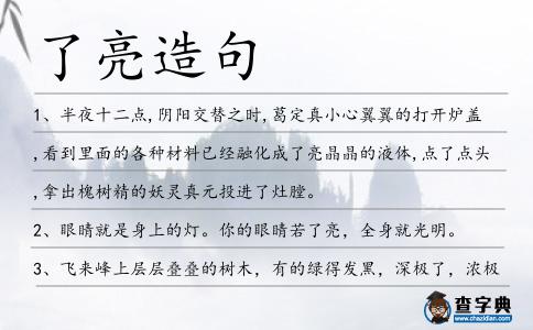 了亮造句