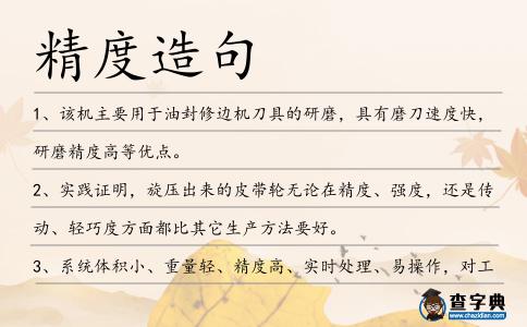 精度造句