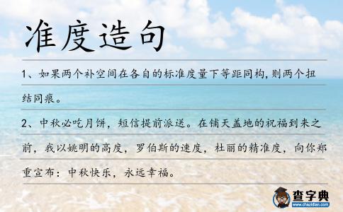 準度造句