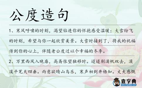 公度造句
