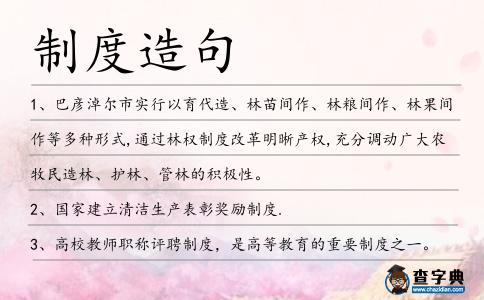 制度造句