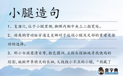 小腿造句