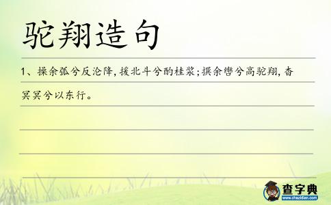 駝翔造句