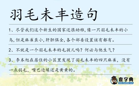羽毛未豐造句