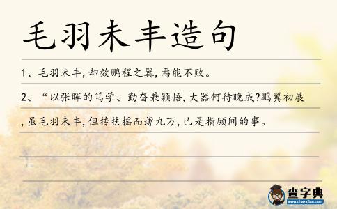 毛羽未豐造句