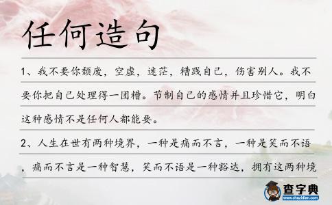 任何造句
