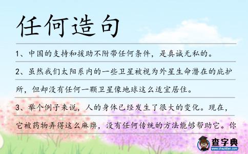 任何造句