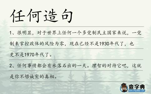任何造句