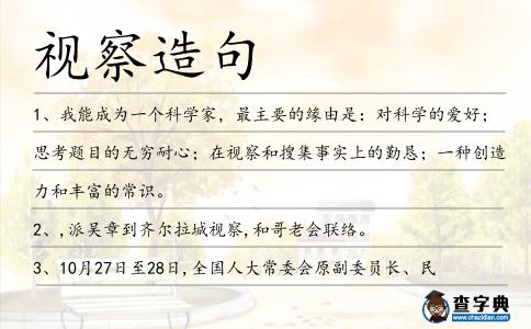 視察造句