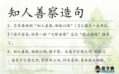 知人善察造句