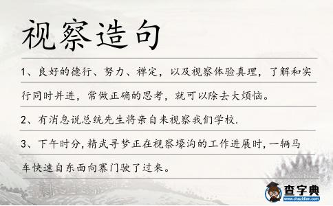 視察造句