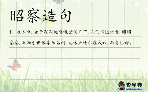 昭察造句