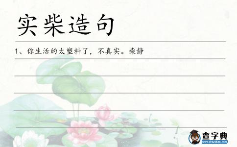 實柴造句